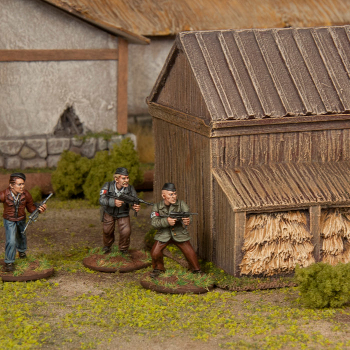 First WW2 Plastic Set: Partisans