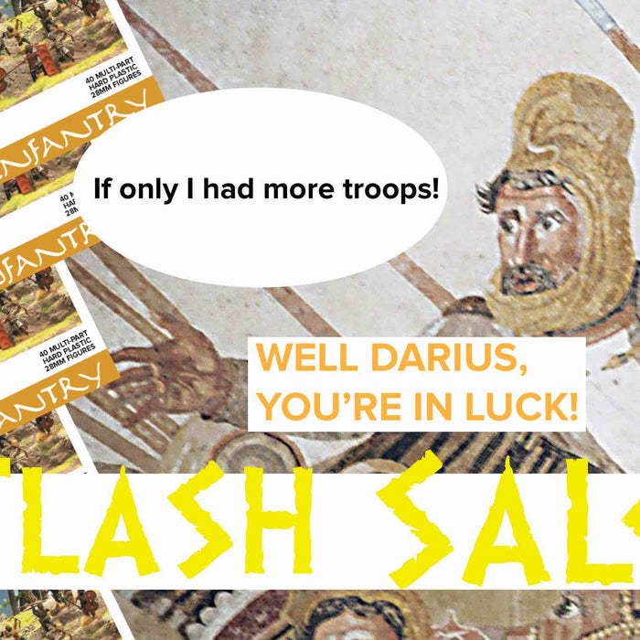 Flash Sale! Persians Everywhere!