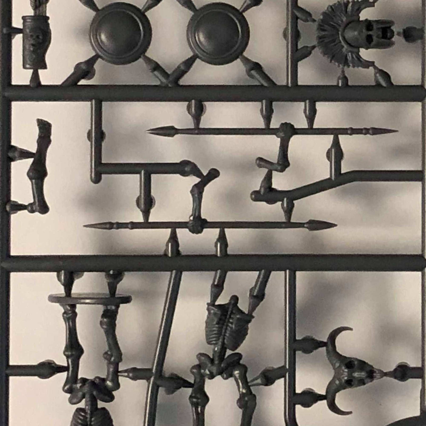 A Look at the Skeleton Sprue