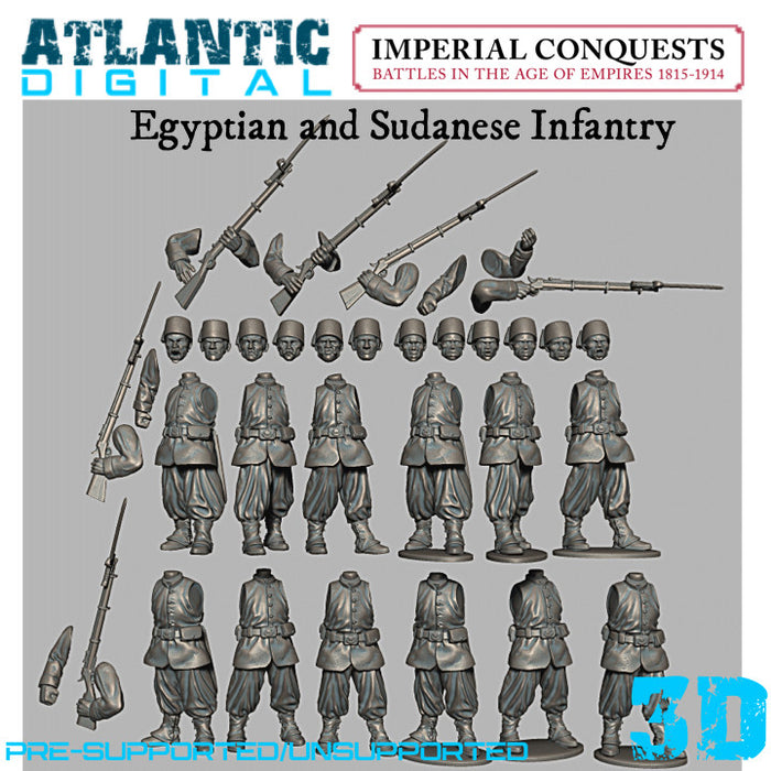 Egyptian and Sudanese Infantry