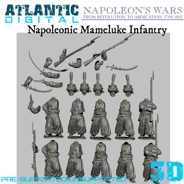 Napoleonic Mameluke Infantry