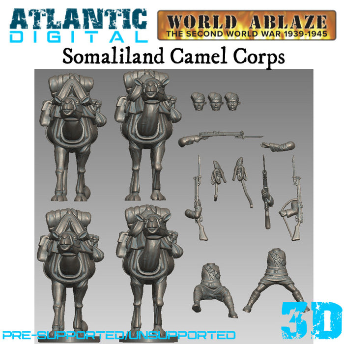 Somaliland Camel Corps