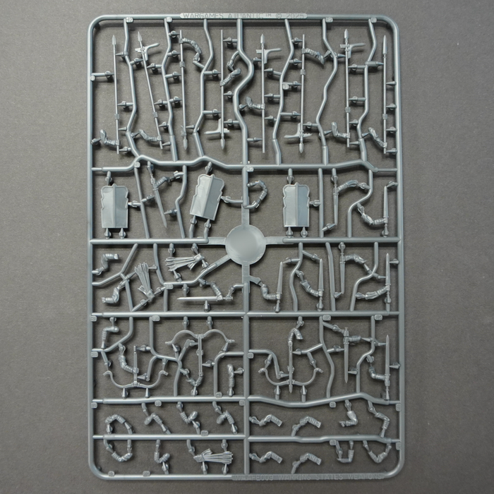 Warring States Armored Infantry