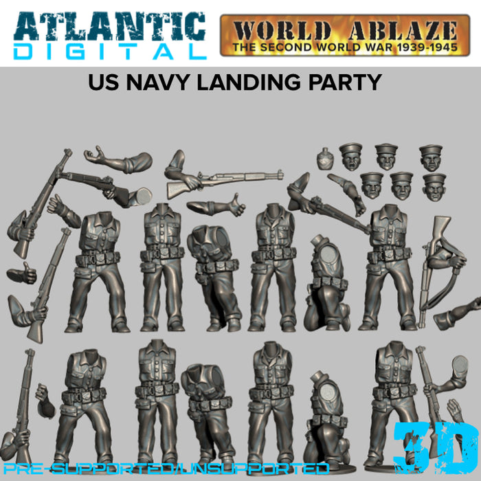 US Navy Landing Party